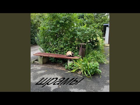 Видео: шрамы