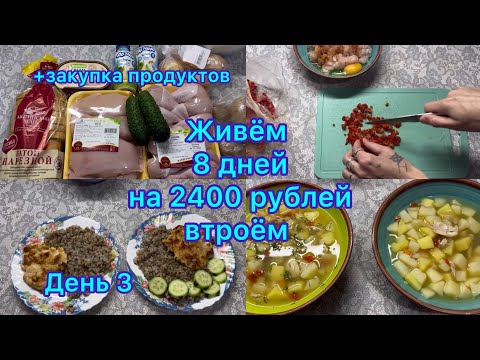 Видео: Живём 8 дней на 2400 рублей втроём . Экономное меню на семью . День 3