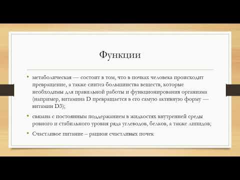 Видео: Про почки доступным языком. Диалог с телом.