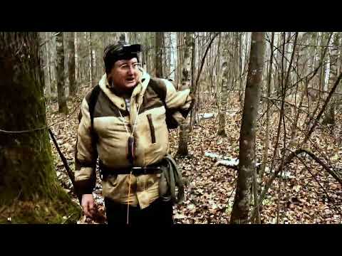 Видео: Охота с русской пегой. 2024 год.