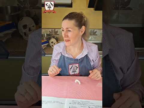 Видео: О Мастике.