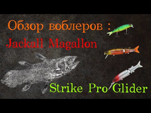 Видео: Обзор воблеров Jackall Magallon и Strike Pro Glider. Приманки для пассивной щуки.