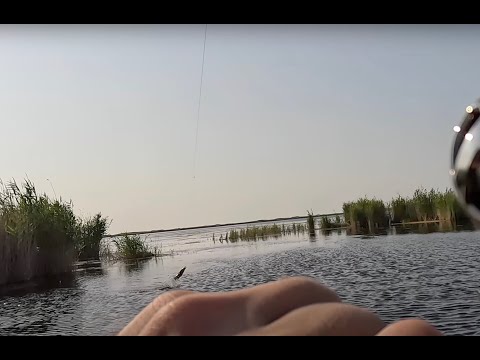 Видео: Открытие летнего сезона 25-26. Прибалхашье (Караой)