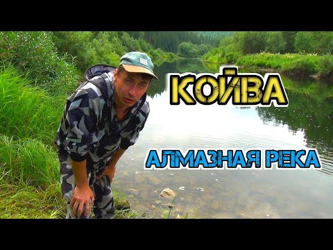 Видео: СПЛАВ ПО КОЙВЕ | река с ИСТОРИЕЙ | часть1 | сплав на ПАКРАФТЕ | Зов тайги