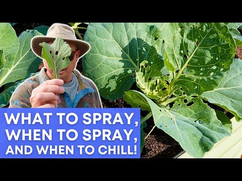 Видео: Зимние садовые черви: когда проводить опрыскивание (а когда оставить их в покое)