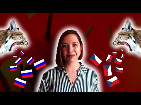 Видео: АКЦЕНТ В ЧЕШСКОМ| КАК С НИМ БОРОТЬСЯ?