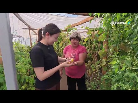 Видео: Сельская жизнь и новый курс развития: как живёт Владимировка сегодня | «Регион 10»