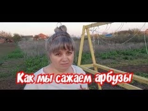 Видео: Как мы сажаем  арбузы и дыни.