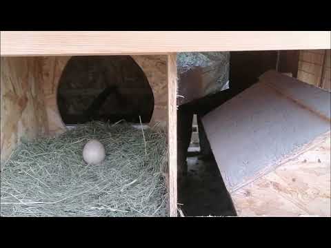 Видео: 30.10.25г. ПЕРВАЯ 👆 ЧАСТЬ ИЗ ТРЁХ...😊