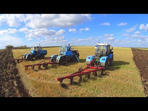 Видео: Продолжаем на трёх тракторах ХТЗ подымать зябь с плугами ПЛН.