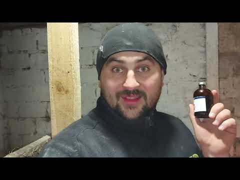 Видео: зачем поросятам железо?? как Карбюратор? что с Чернушкой??