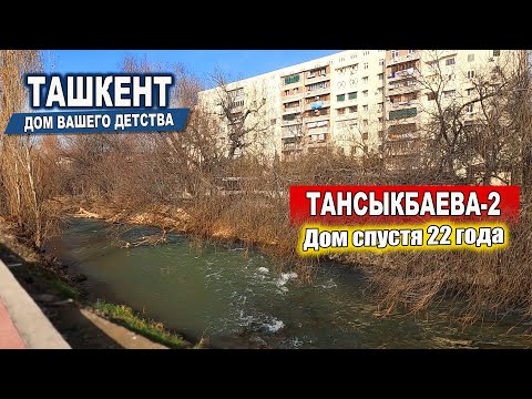 Видео: ТАНСЫКБАЕВА-2. РОДНОЙ ДВОР СПУСТЯ 22 ГОДА. #узбекистан #ташкент #двор #дом #детство