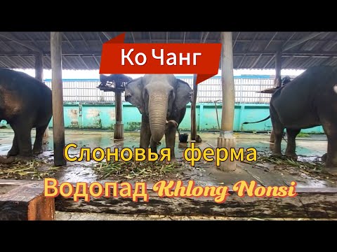 Видео: 14 серия. Выселяемся из отеля Centara и навестив слонов отправляемся к водопаду Клонг Нонси.