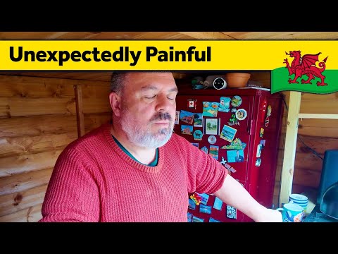 Видео: 333. Неожиданная боль после глупого инцидента — Медленная жизнь в одиночестве в Уэльсе