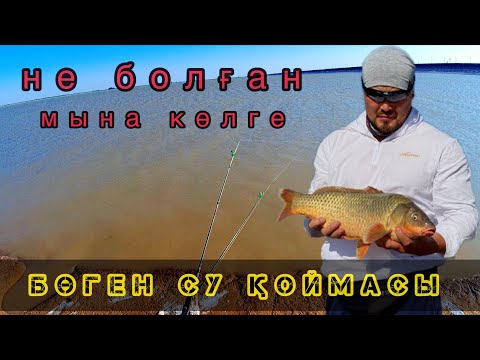 Видео: Бөген су қоймасына балыққа шықтық | рыбалка на бугуне вторая разведка  в этом году