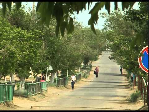 Видео: Нысана - Торгай