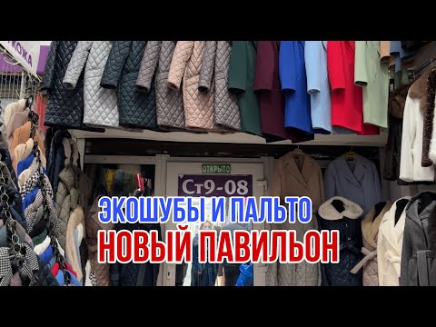 Видео: ЭКОШУБЫ И ПАЛЬТО ПО ДОСТУПНЫМ ЦЕНАМ 🔥ЕСТЬ БАТАЛЬНЫЕ РАЗМЕРЫ #садовод