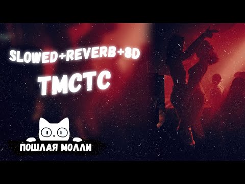 Видео: ПОШЛАЯ МОЛЛИ - ТМСТС [SLOWED+REVERB+8D]