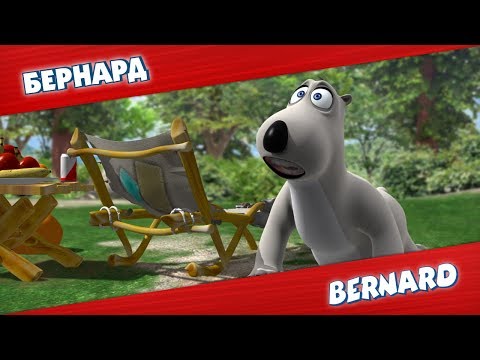Видео: БЕРНАРД: День на природе 3 и многое другое | Подборка серий