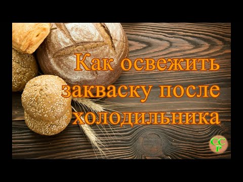 Видео: Как освежить закваску из холодильника. Закваска на пике