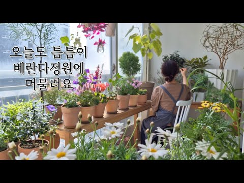 Видео: Изготовление подвесных растений из переработанных стеклянных бутылок