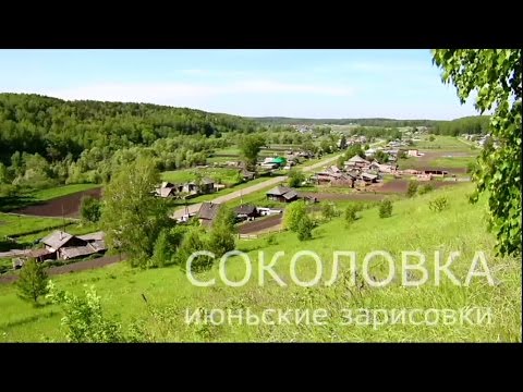 Видео: Соколовка - июньские зарисовки