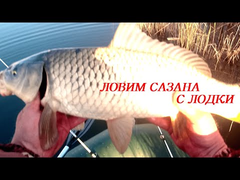 Видео: Рыбалка с лодки на сазана, карася! Рыбалка состоялась!