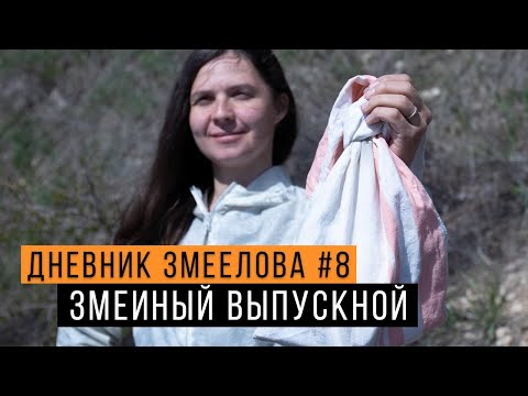 Видео: Выпускаем змей и встретили НОВЫХ - Дневник змеелова #8 / Змеелов - ученый