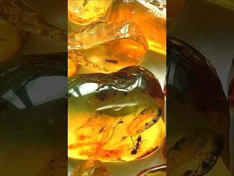 Видео: Четки с черепом из Янтаря!