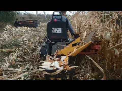 Видео: Самодельный комбайн для уборки кукурузы для минитрактора из мотоблока / Конец сезона 2018