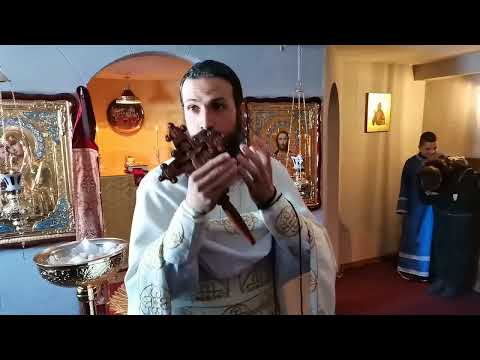 Видео: "Често чујемо: Кад видим ко све иде у цркву, не иде ми се тамо..." - о. Георгије (Станковић)