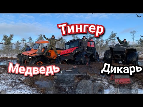 Видео: Тингер,Медведь,Ураган,Дикарь,Литл