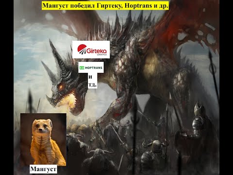 Видео: Мангуст победил Girteka в трудовом споре