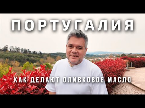 Видео: Как делают оливковое масло в Португалии