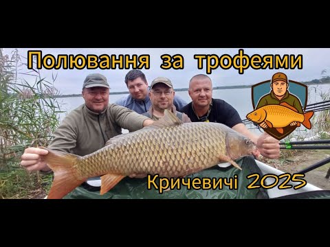 Видео: Кричевичі 2025 "Полювання за трофеями"