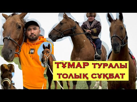 Видео: Тұмар. Таутұмар. Нұрлыбек Сейітовпен болған сұқбат