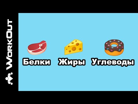 Видео: Из чего состоит еда? Функции пищи (БЕЛКИ, ЖИРЫ, УГЛЕВОДЫ) | SOTKA — День 16