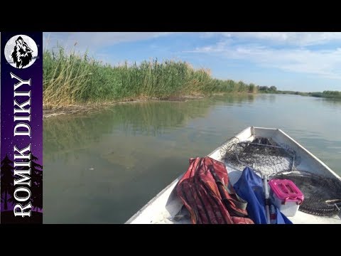 Видео: Рыбалка на Кокжиде. Разведка новых акваторий. (27-29 июня 2019г.)