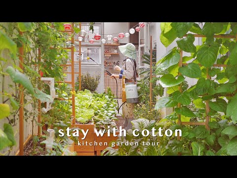Видео: Экскурсия по огороду 🌿🍅 | Простые вегетарианские блюда 🍲 | Салат из огурцов 🥗 | Шпинатный суп | VLOG