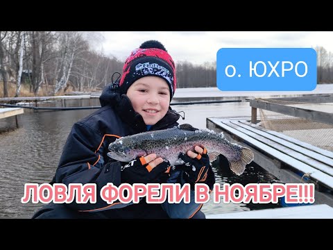 Видео: ЛОВЛЯ ФОРЕЛИ НА СПИННИНГ В НОЯБРЕ.#ветлужскийтаëжник#рыбалка#форельнаспиннинг#форелеваярыбалка#юхро