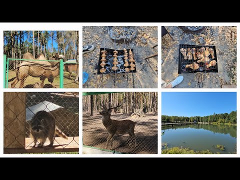 Видео: VLOG 07.09.2024 г Орловское Полесье/ Зоопарк/ Отдых на природе/ Шашлык/ День с семьёй