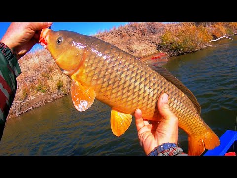 Видео: ТРИ САЗАНЬИХ ВЕЧЕРА
