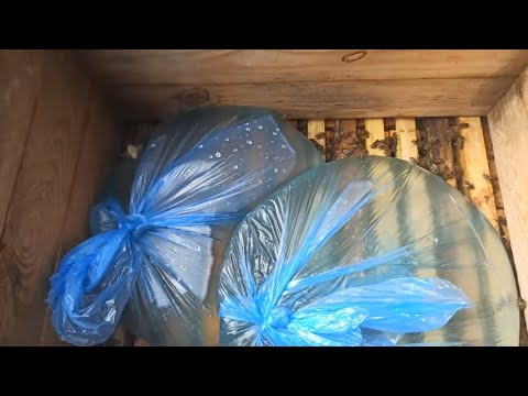 Видео: Инвертированный сироп для пчел. Подкормка пчел осенью сахарным сиропом (видео 2021)