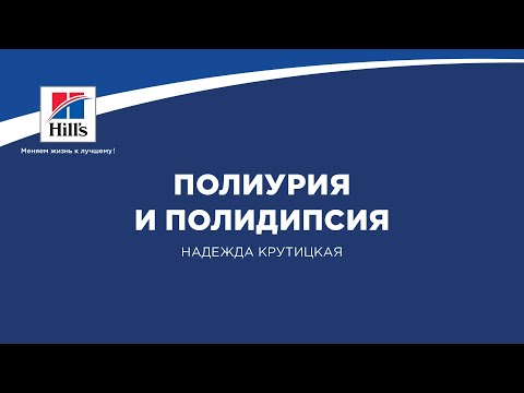 Видео: Вебинар №5 школы НЕФРОУРОВЕТ: "Полиурия и полидипсия". Лектор - Надежда Крутицкая.