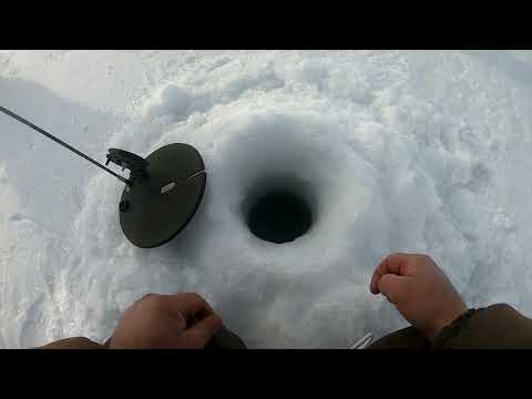 Видео: Щука на Сергеевском Водохранилище. Подлещики, окунь, плотва и ЁРШ.