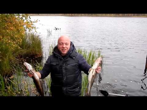 Видео: Рыбалка. Ивинский разлив. ч. 2 сезон 2014