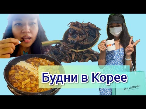 Видео: KOREA VLOG | ПРОБУЮ ЖУКОВ | БУДНИ СТУДЕНТА В КОРЕЕ | ФИНАЛЬНЫЙ ЭКЗАМЕН (eng sub)