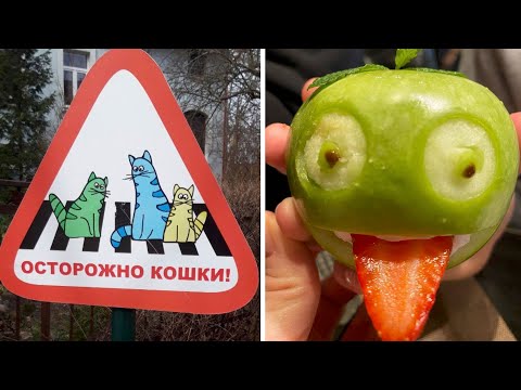 Видео: Фото подписчиков Фактории (230 часть)