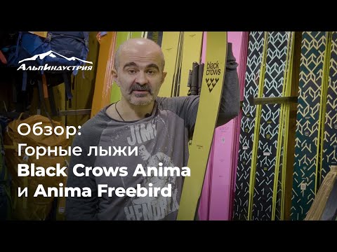 Видео: Обзор горных лыж Black Crows Anima и Anima Freebird