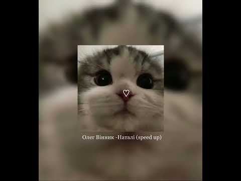 Видео: Олег Вінник-Наталі (speed up)